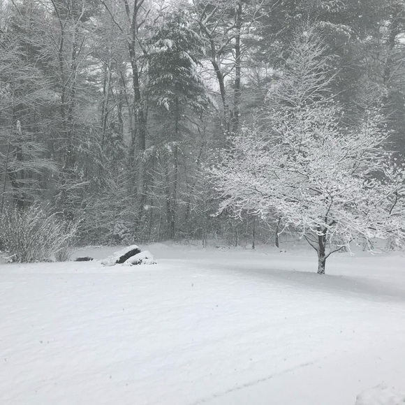 Meet your Posher, Marc - Picture 3 of 16